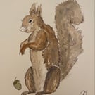 The watched squirrel 