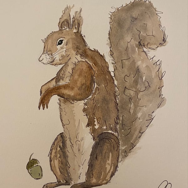 The watched squirrel 