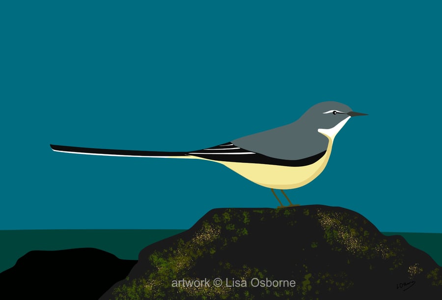 Grey wagtail - bird print