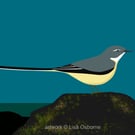 Grey wagtail - bird print