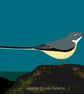 Grey wagtail - bird print