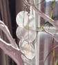 White hand carved shell sea earrings 