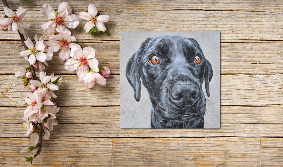 Labrador Puppy Greeting Card, Dog Card, Greetings Card, Blank Inside, Labrador