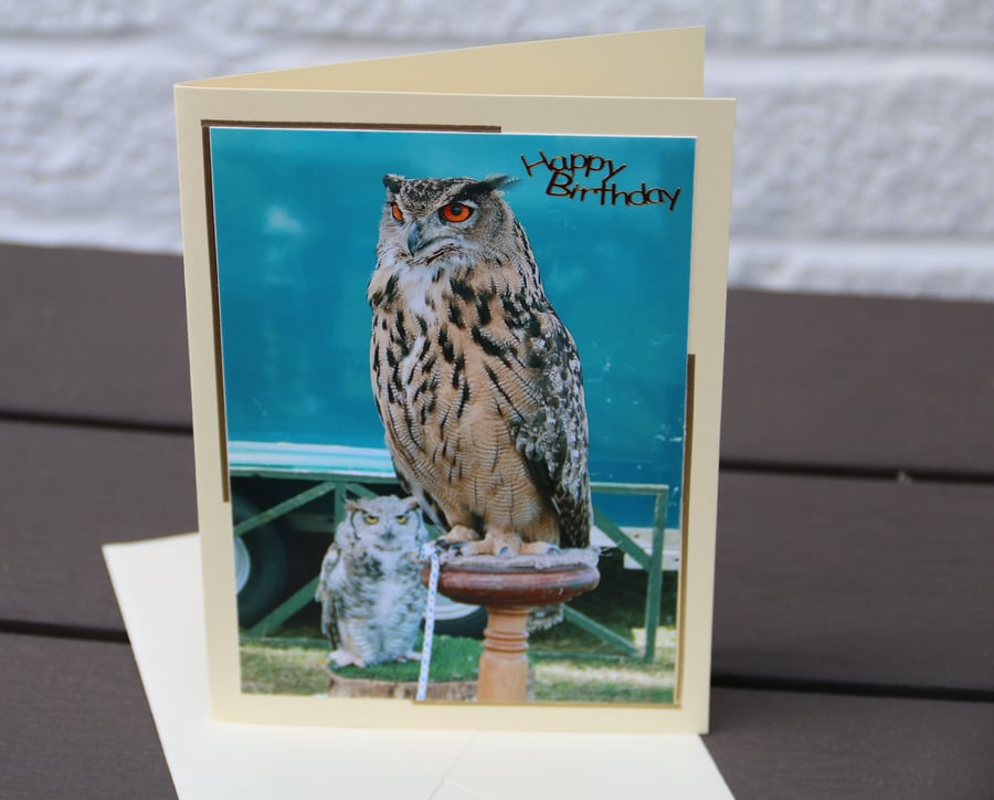 Eagle Owls photographic birthday card, 7x5" card & envelope 