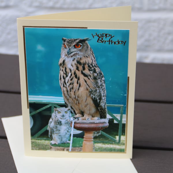 Eagle Owls photographic birthday card, 7x5" card & envelope 