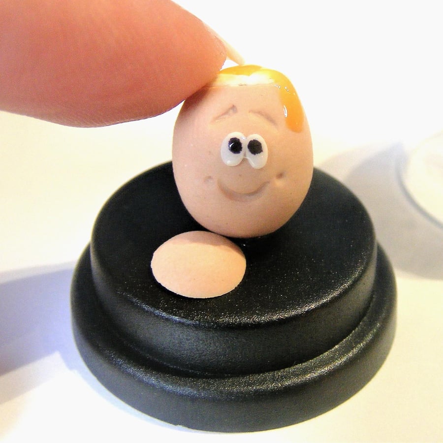 Pet Boiled Egg, Pet Egg gift, Hard boiled egg, Gift for him, Gift for her