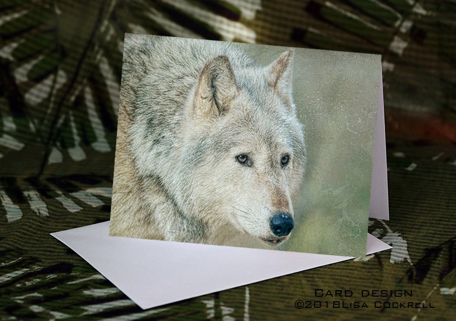 Exclusive Winter Wolf Greetings Card