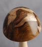 Toadstool in Laburnum - Image 5