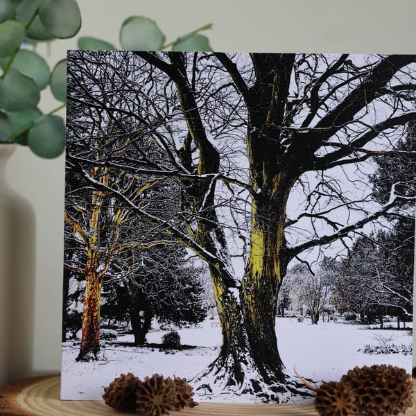 Snowfall - Saltaire - Blank Greetings Card