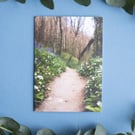 Spring Walks in Cornwall - Landscape Greeting Card & Envelope