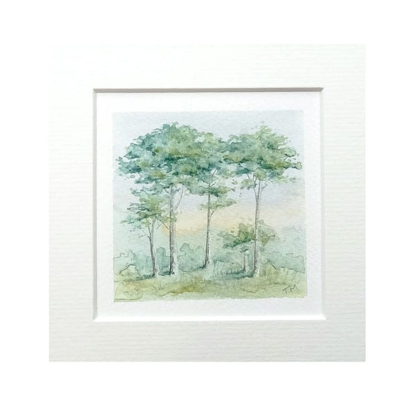 Original Art Watercolour Miniature Painting 'Pine Trees' - 5" x 5" Mount