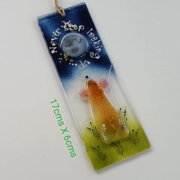 Never stop looking up suncatcher, inspirational gift, dormouse glass art, fused 