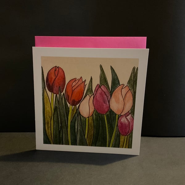 Tulips