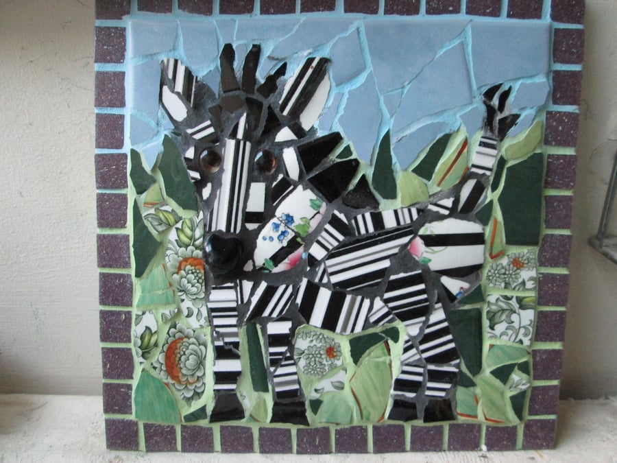 mosaic Zebra plague