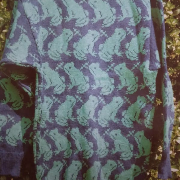 Frog jumper with an all over design