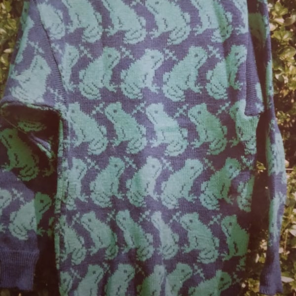 Jumper with an all over frog design