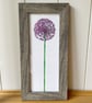 'Allium' 10" x 4" Framed Print - Image 1