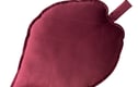 Leaf Cushion
