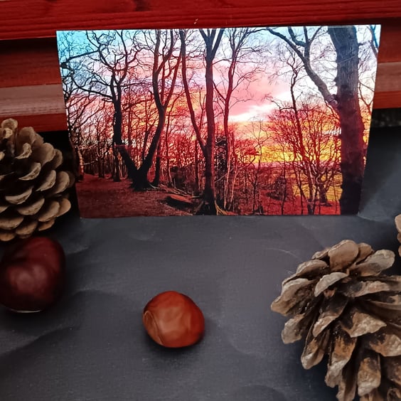 A6 Greetings card: Wirral woods sunset photograph 