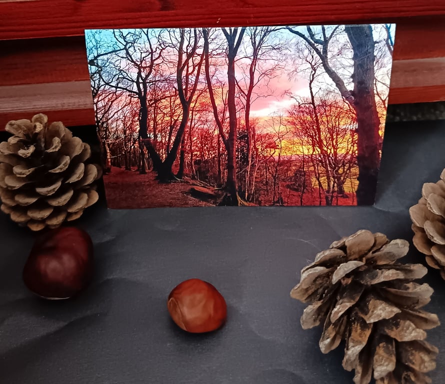 A6 Greetings card: Wirral woods sunset photograph 