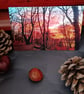 A6 Greetings card: Wirral woods sunset photograph  - Image 1
