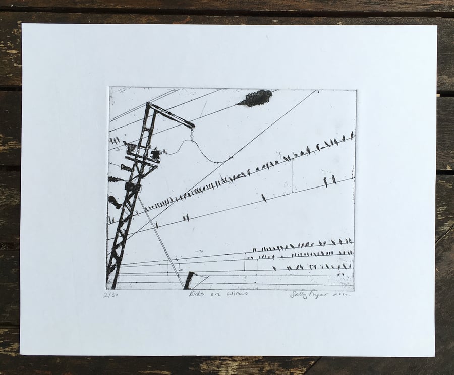 'Birds' Indian Railways Series