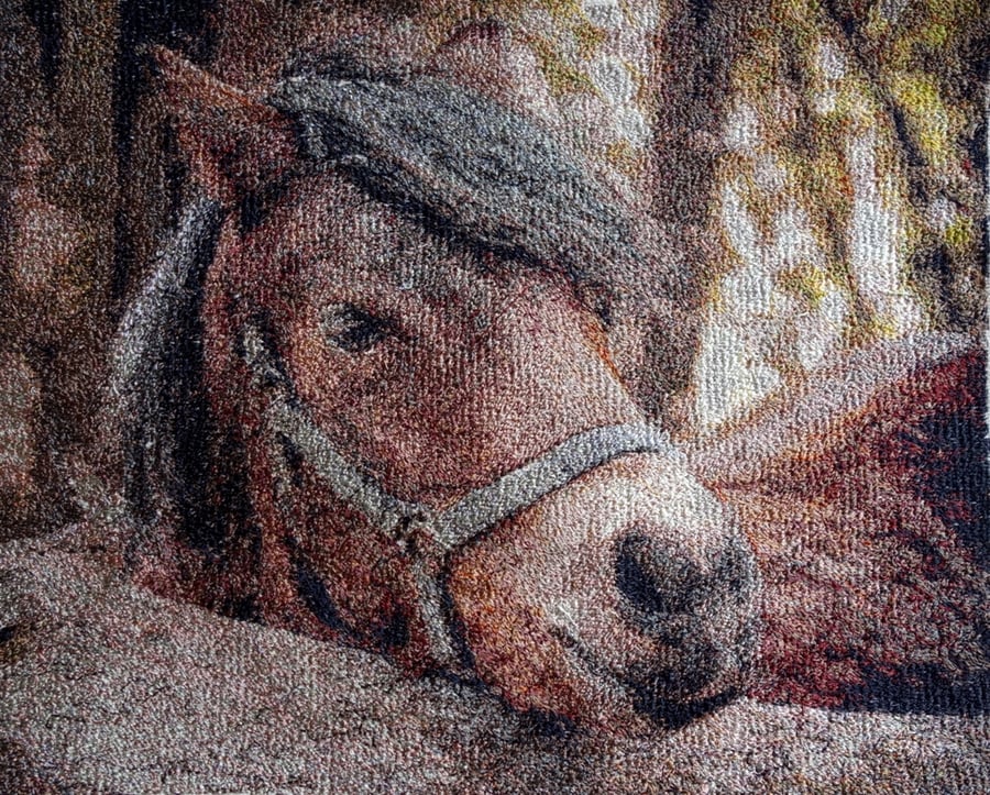 Horse.  A beautiful, mounted, machine embroidered work of art.