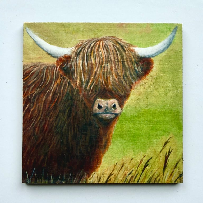 Highland Cow Magnet, Claire Kirkpatrick 