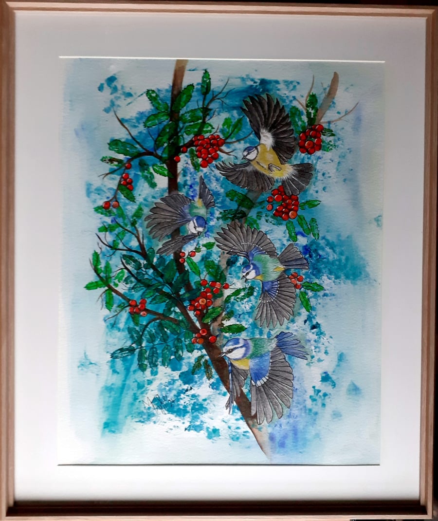 Blue tits in the Autumn rush