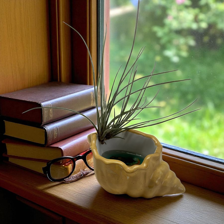 Handmade Resin Seashell with Mini Koi Pond and Air Plant. Unique Home Decor