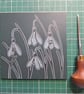 An original handprinted linoprint of snowdrops. - Image 7