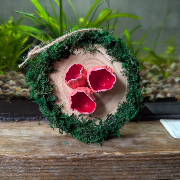 Scarlet Elf Cup Fungi Wall Hanging 