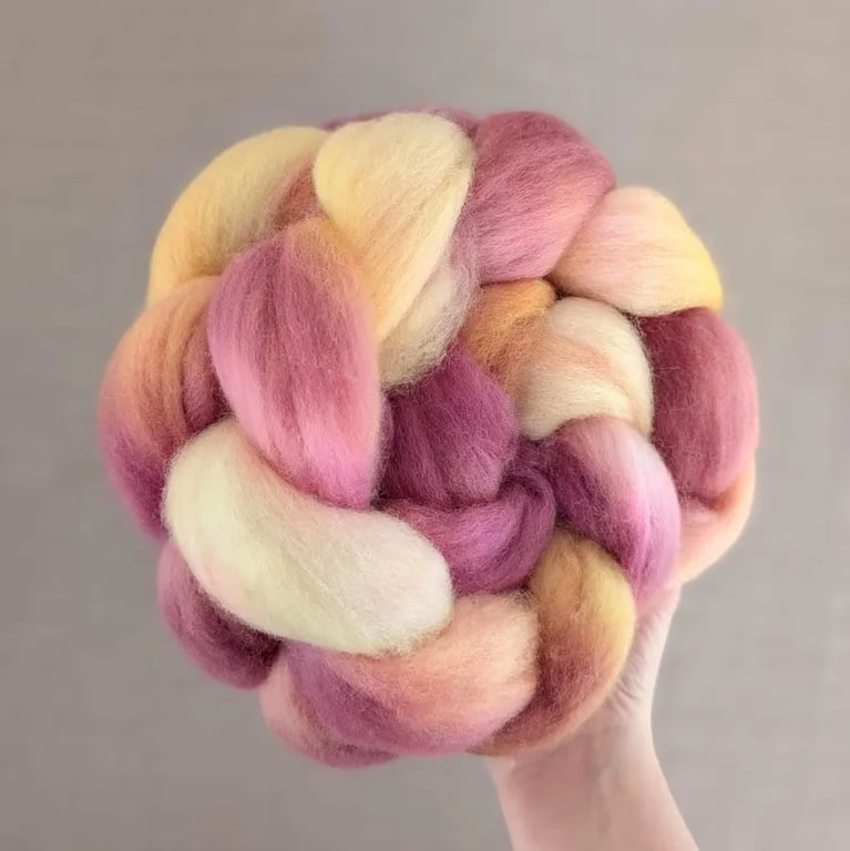 Hand Dyed Polwarth Top 99g Spinning Fibre - Bloom