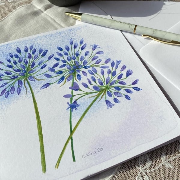 Agapanthus greeting cards pack of five