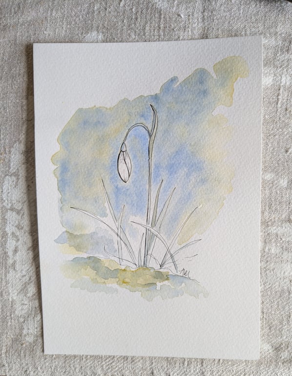 Snowdrop, ink and wash