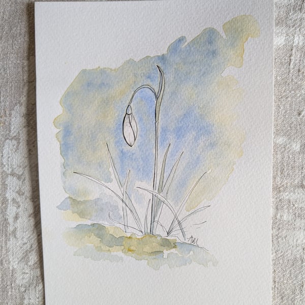 Snowdrop, ink and wash