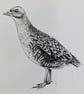 Corncrake card - Image 3