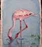 Feeding Flamingo Original Watercolour Painting
