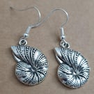 silver plated seashell seaside costal earrings hypoallergenic detailed