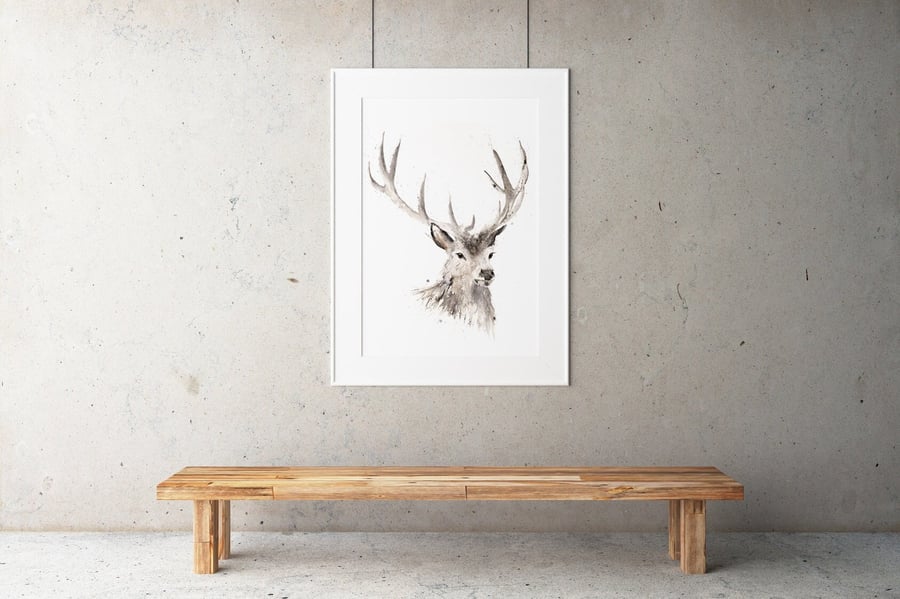 Stag Watercolour Print - Limited Edition, Hand Signed Animal Art