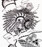 Folk Bird - Image 2