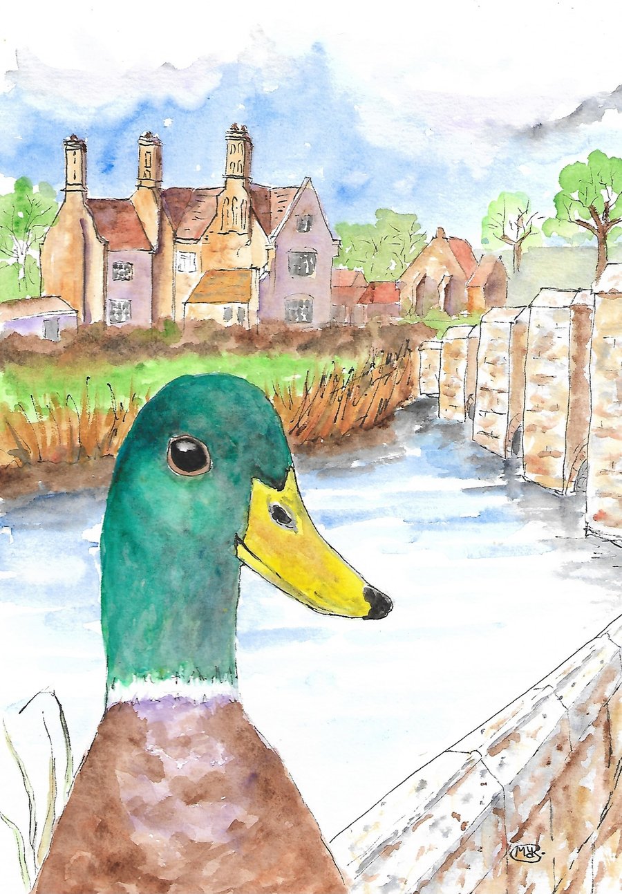 Mallard Duck at Woolbridge. Original painting