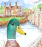 Mallard Duck at Woolbridge. Original painting - Image 1