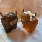 Mr & Mrs highland cows