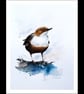 Dipper, Professional Giclée Print. - Image 2
