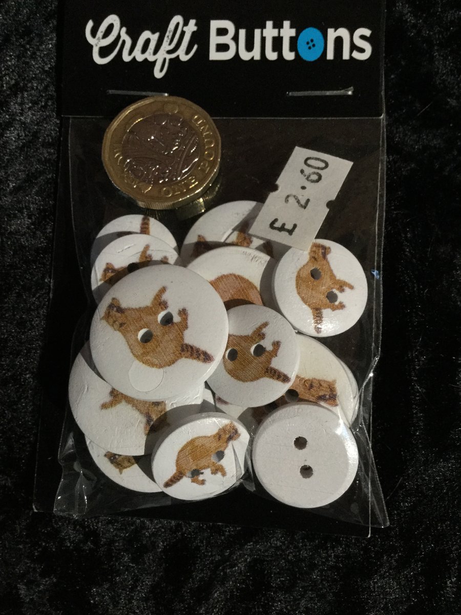 Craft Buttons White with a Tan Raccoon Image (N.64)