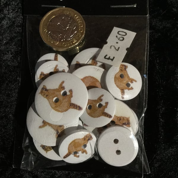 Craft Buttons White with a Tan Raccoon Image (N.64)