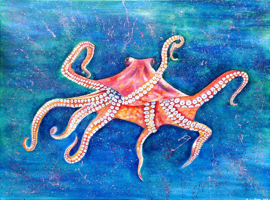 Octopus Original Oil Painting of Tropical Sealife