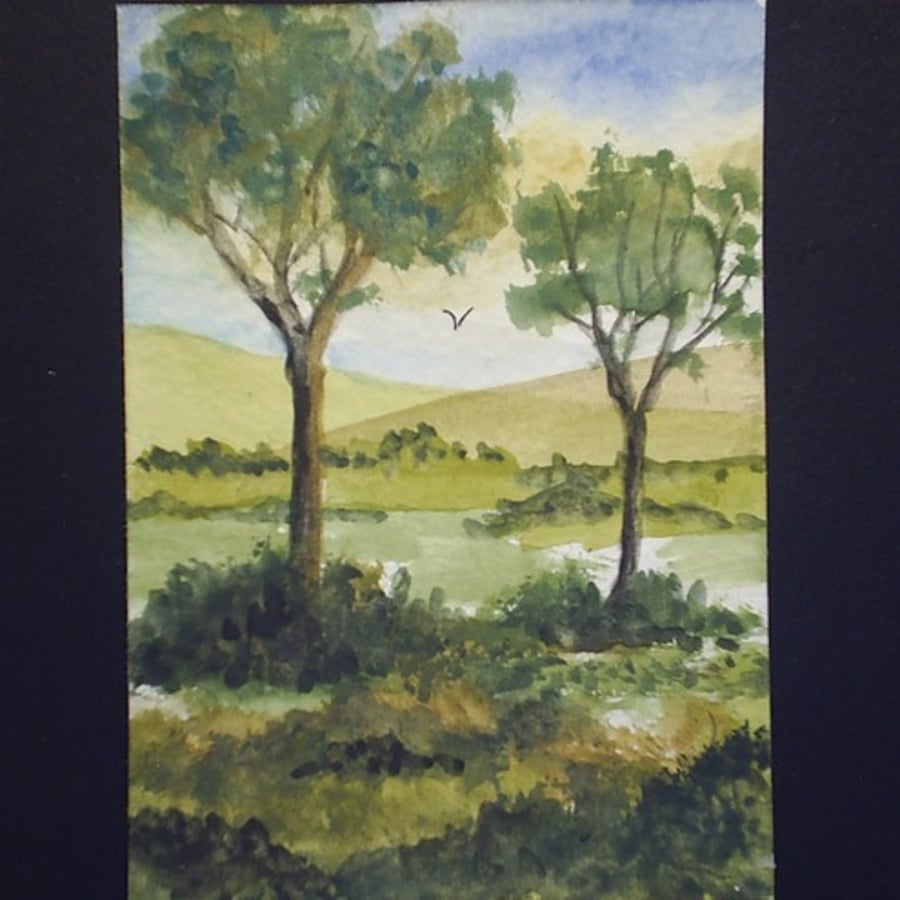 aceo country scene