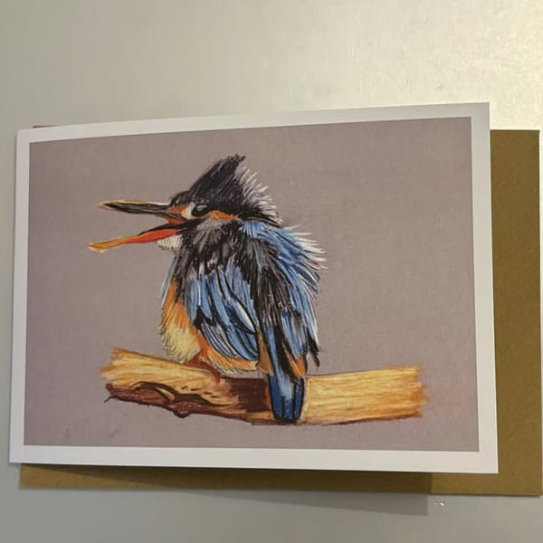 Scruffy Kingfisher A5 Greeting Card